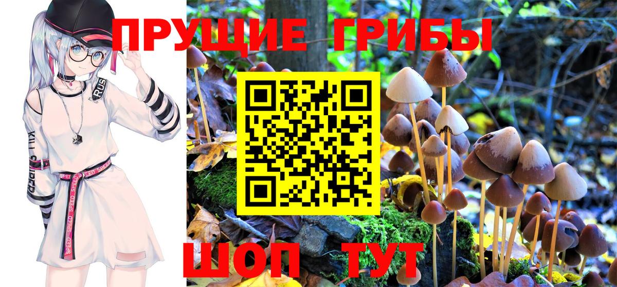 Ногинск  Галлюциногенные грибы GOLDEN TEACHER  Вход с VPN 