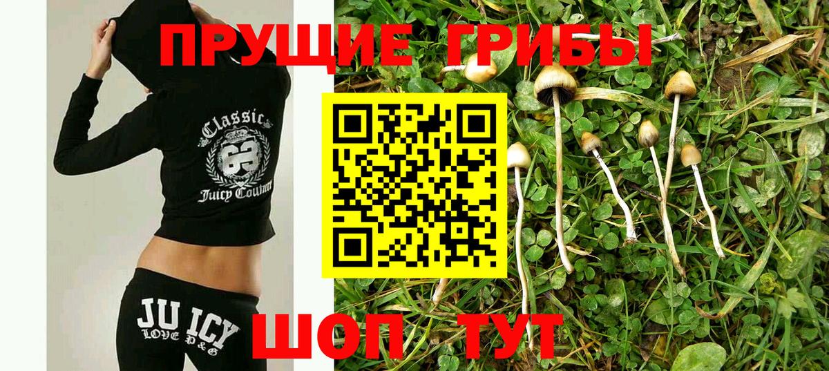 Галлюциногенные грибы мухоморы Ногинск